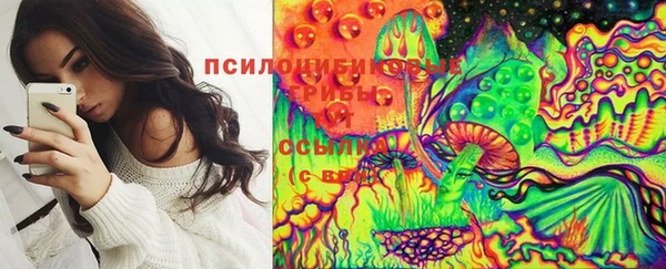 меф Медвежьегорск