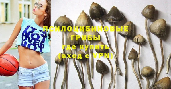 спайс Михайлов