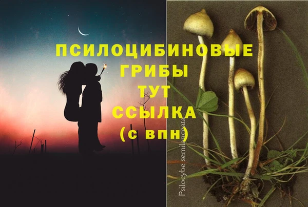меф Медвежьегорск