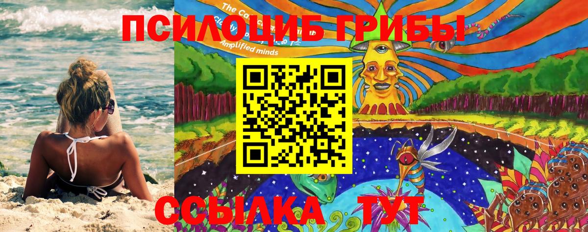 Галлюциногенные грибы Psilocybine cubensis Электросталь