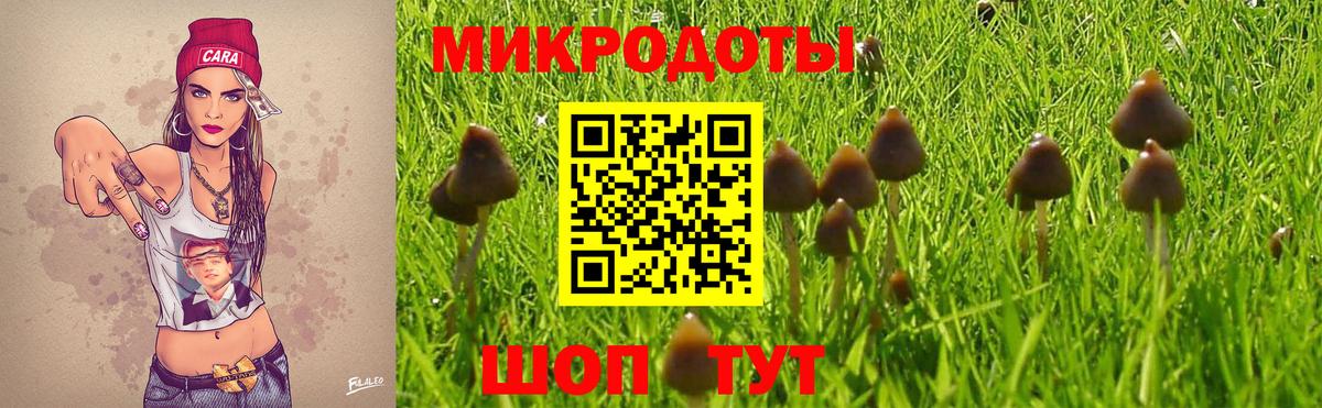 Псилоцибиновые грибы Magic Shrooms  Вход с VPN  Псилоцибиновые грибы прущие грибы  Электросталь 